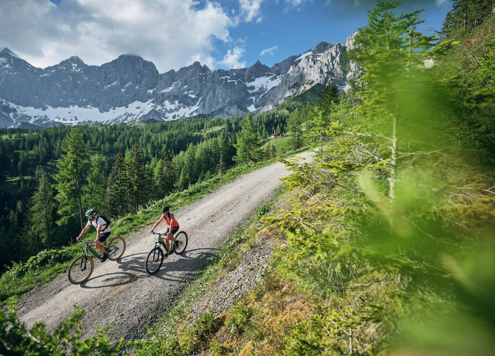Luxury Chalets Gradenbach Near Schladming هاوس إم إنيستال المظهر الخارجي الصورة
